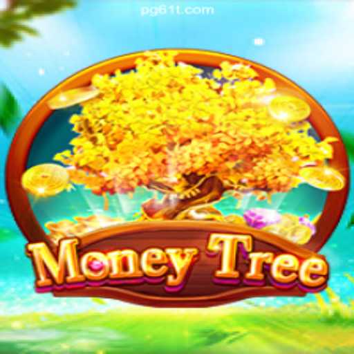 MoneyTree: Exploring Brazil's Leading Betting Platform 61T.COM